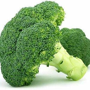 Team Page: People Gotta Eat